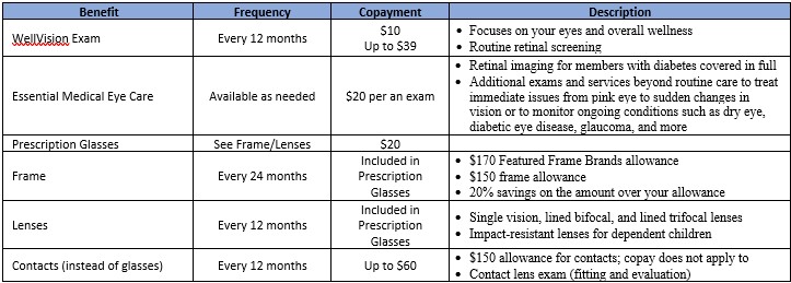 2025 Vision Plan Summary